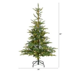 5ft. Pre-Lit Layered Washington Spruce Artificial Christmas Tree, Clear Lights 15 5ft. Pre-Lit Layered Washington Spruce Artificial Christmas Tree, Clear Lights -Northlight Shop D478889S 2