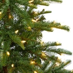 5ft. Pre-Lit Layered Washington Spruce Artificial Christmas Tree, Clear Lights 17 5ft. Pre-Lit Layered Washington Spruce Artificial Christmas Tree, Clear Lights -Northlight Shop D478889S 4
