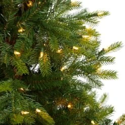 5ft. Pre-Lit North Carolina Spruce Artificial Christmas Tree, Clear LED Lights -Northlight Shop D478890S 4