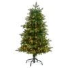 4ft. Pre-Lit South Carolina Fir Artificial Christmas Tree, Clear Lights 1 4ft. Pre-Lit South Carolina Fir Artificial Christmas Tree, Clear Lights -Northlight Shop D478893S 1