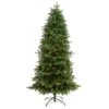 7ft. Pre-Lit South Carolina Fir Artificial Christmas Tree, Clear Lights 2 7ft. Pre-Lit South Carolina Fir Artificial Christmas Tree, Clear Lights -Northlight Shop D478894S 1