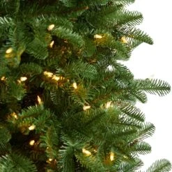 7ft. Pre-Lit South Carolina Fir Artificial Christmas Tree, Clear Lights 17 7ft. Pre-Lit South Carolina Fir Artificial Christmas Tree, Clear Lights -Northlight Shop D478894S 4