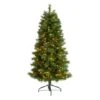 5ft. Pre-Lit West Virginia Mountain Pine Artificial Christmas Tree, Clear Lights 1 5ft. Pre-Lit West Virginia Mountain Pine Artificial Christmas Tree, Clear Lights -Northlight Shop D478901S 1