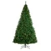10ft. Pre-Lit Northern Tip Artificial Christmas Tree, Clear LED Lights -Northlight Shop D478937S 1