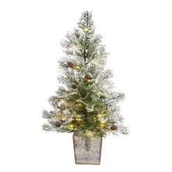 2ft. Pre-Lit Frosted Artificial Christmas Tree In Decorative Planter, Clear Lights 14 2ft. Pre-Lit Frosted Artificial Christmas Tree In Decorative Planter, Clear Lights -Northlight Shop D478947S 1 1