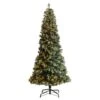 9ft. Pre-Lit Frosted British Columbia Mountain Pine Artificial Christmas Tree, Clear Lights -Northlight Shop D478951S 1