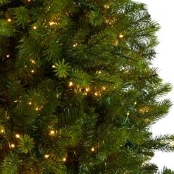 9.5ft. Pre-Lit Slim Colorado Mountain Spruce Artificial Christmas Tree, Multifunction White Micro LED Lights 17 9.5ft. Pre-Lit Slim Colorado Mountain Spruce Artificial Christmas Tree, Multifunction White Micro LED Lights -Northlight Shop D478962S 4