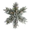 30" Pre-Lit Flocked Snowflake Artificial Dunhill Fir Wreath With Pinecones -Northlight Shop D478999S 1