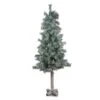 Northlight 4ft. Unlit Lightly Flocked & Glittered Woodland Alpine Artificial Christmas Tree 1 Northlight 4ft. Unlit Lightly Flocked & Glittered Woodland Alpine Artificial Christmas Tree -Northlight Shop D489946S 1