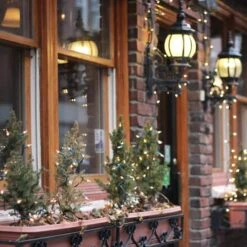 Northlight 50ct. Mini Christmas String Lights With Green Wire Clear -Northlight Shop D491460S 2