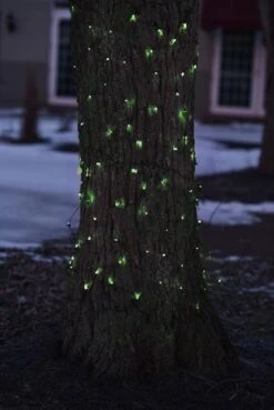 Northlight 2ft. X 8ft. LED Tree Trunk Wrap Christmas Net Lights Green -Northlight Shop D491511S 3