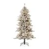 6ft. Pre-Lit Flocked Fir Artificial Christmas Tree, Warm White LED Lights -Northlight Shop D494323S 1