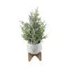 16" Unlit Frosted Artificial Christmas Tree In Staghead Ceramic Pot On Wood Stand 2 16" Unlit Frosted Artificial Christmas Tree In Staghead Ceramic Pot On Wood Stand -Northlight Shop D511160S 1