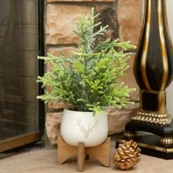 16" Unlit Frosted Artificial Christmas Tree In Staghead Ceramic Pot On Wood Stand 9 16" Unlit Frosted Artificial Christmas Tree In Staghead Ceramic Pot On Wood Stand -Northlight Shop D511160S 3