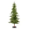 6ft. Pre-Lit Shawnee Fir Artificial Christmas Tree, Warm White LED Dura-Lit Lights 2 6ft. Pre-Lit Shawnee Fir Artificial Christmas Tree, Warm White LED Dura-Lit Lights -Northlight Shop D522185S 1