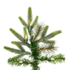 6ft. Pre-Lit Shawnee Fir Artificial Christmas Tree, Warm White LED Dura-Lit Lights -Northlight Shop D522185S 3