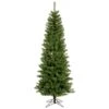 4.5ft. Pre-Lit Salem Pine Pencil Artificial Christmas Tree, Multi-Colored LED Lights