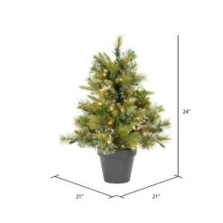 2ft. Pre-Lit Cashmere Pine Artificial Christmas Tree In Pot, Warm White Dura-Lit® LED Lights -Northlight Shop D522307S 3