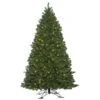 5.5ft. Pre-Lit Oregon Fir Outdoor Artificial Christmas Tree, Warm White Wide Angle LED Lights -Northlight Shop D522501S 1