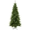 6.5ft. Unlit Slim Camdon Fir Artificial Christmas Tree 2 6.5ft. Unlit Slim Camdon Fir Artificial Christmas Tree -Northlight Shop D522510S 1