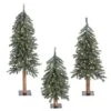 2ft., 3ft. & 4ft. Pre-Lit Natural Bark Alpine Artificial Christmas Tree Set, Clear Dura-Lit® Lights 2 2ft., 3ft. & 4ft. Pre-Lit Natural Bark Alpine Artificial Christmas Tree Set, Clear Dura-Lit® Lights -Northlight Shop D522538S 1