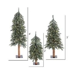 2ft., 3ft. & 4ft. Pre-Lit Natural Bark Alpine Artificial Christmas Tree Set, Clear Dura-Lit® Lights 12 2ft., 3ft. & 4ft. Pre-Lit Natural Bark Alpine Artificial Christmas Tree Set, Clear Dura-Lit® Lights -Northlight Shop D522538S 4