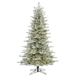 7.5ft. Pre-Lit Frosted Eastern Fraser Fir Artificial Christmas Tree, Warm White LED Lights 8 7.5ft. Pre-Lit Frosted Eastern Fraser Fir Artificial Christmas Tree, Warm White LED Lights -Northlight Shop D522543S 1 1