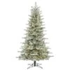7.5ft. Pre-Lit Frosted Eastern Fraser Fir Artificial Christmas Tree, Warm White LED Lights 1 7.5ft. Pre-Lit Frosted Eastern Fraser Fir Artificial Christmas Tree, Warm White LED Lights -Northlight Shop D522543S 1