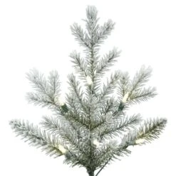 7.5ft. Pre-Lit Frosted Eastern Fraser Fir Artificial Christmas Tree, Warm White LED Lights 10 7.5ft. Pre-Lit Frosted Eastern Fraser Fir Artificial Christmas Tree, Warm White LED Lights -Northlight Shop D522543S 3
