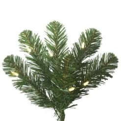 8.5ft. Pre-Lit Slim Oregon Fir Artificial Christmas Tree, Warm White LED Lights -Northlight Shop D522550S 3