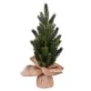 15" Unlit Balsam Fir Sapling Artificial Christmas Tree, 2ct. 1 15" Unlit Balsam Fir Sapling Artificial Christmas Tree, 2ct. -Northlight Shop D522614S 1