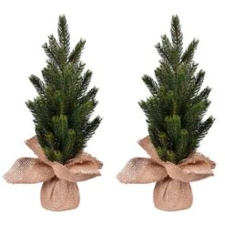 15" Unlit Balsam Fir Sapling Artificial Christmas Tree, 2ct. -Northlight Shop D522614S 2