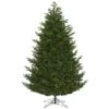 7.5ft. Pre-Lit Eagle Fraser Full Artificial Christmas Tree, Warm White Dura-Lit® LED Lights 1 7.5ft. Pre-Lit Eagle Fraser Full Artificial Christmas Tree, Warm White Dura-Lit® LED Lights -Northlight Shop D522618S 1