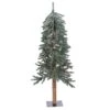 4ft. Pre-Lit Natural Bark Alpine Artificial Christmas Tree, Clear Dura-Lit® Lights 2 4ft. Pre-Lit Natural Bark Alpine Artificial Christmas Tree, Clear Dura-Lit® Lights -Northlight Shop D522645S 1