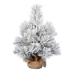 24" Unlit Frosted Beckett Pine Artificial Christmas Tree 7 24" Unlit Frosted Beckett Pine Artificial Christmas Tree -Northlight Shop D522656S 1 1