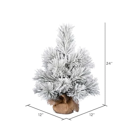 24" Unlit Frosted Beckett Pine Artificial Christmas Tree 6 24" Unlit Frosted Beckett Pine Artificial Christmas Tree - Image 4