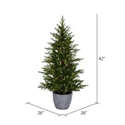 3.5ft. Pre-Lit Belgrade Pine Artificial Christmas Tree, Clear Dura-Lit® LED Lights 9 3.5ft. Pre-Lit Belgrade Pine Artificial Christmas Tree, Clear Dura-Lit® LED Lights -Northlight Shop D522694S 3