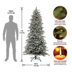 7ft. Pre-Lit Snowy Calton Pine Artificial Christmas Tree, Warm White LED Lights 14 7ft. Pre-Lit Snowy Calton Pine Artificial Christmas Tree, Warm White LED Lights -Northlight Shop D531411S 15