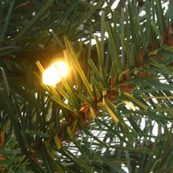 4ft. Pre-Lit & Pre-Decorated Scotch Creek Fir Entrance Artificial Christmas Tree, Warm White LED Lights 12 4ft. Pre-Lit & Pre-Decorated Scotch Creek Fir Entrance Artificial Christmas Tree, Warm White LED Lights -Northlight Shop D531424S 3