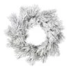 24" Frosted Beckett Pine Wreath