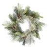 24" Unlit Frosted Myers Pine Artificial Christmas Wreath -Northlight Shop D575329S 1