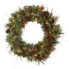 30" Warm White LED Lights Cibola Mixed Berry Artificial Christmas Wreath 1 30" Warm White LED Lights Cibola Mixed Berry Artificial Christmas Wreath -Northlight Shop D575383S 1