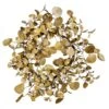 22" Gold Eucalyptus Christmas Wreath 2 22" Gold Eucalyptus Christmas Wreath -Northlight Shop D575423S 1