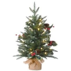 2ft. Pre-Lit Happy Hill Pine Artificial Christmas Tree, Warm White LED Lights