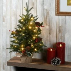 2ft. Pre-Lit Happy Hill Pine Artificial Christmas Tree, Warm White LED Lights 10 2ft. Pre-Lit Happy Hill Pine Artificial Christmas Tree, Warm White LED Lights -Northlight Shop D645001S 2