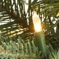 2ft. Pre-Lit Happy Hill Pine Artificial Christmas Tree, Warm White LED Lights 11 2ft. Pre-Lit Happy Hill Pine Artificial Christmas Tree, Warm White LED Lights -Northlight Shop D645001S 3