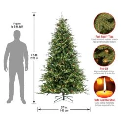 7.5ft. Pre-Lit Skykomish Pine Artificial Christmas Tree, Warm White LED Lights 14 7.5ft. Pre-Lit Skykomish Pine Artificial Christmas Tree, Warm White LED Lights -Northlight Shop D645041S 15