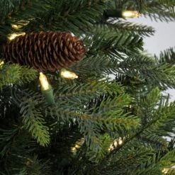 7.5ft. Pre-Lit Skykomish Pine Artificial Christmas Tree, Warm White LED Lights 12 7.5ft. Pre-Lit Skykomish Pine Artificial Christmas Tree, Warm White LED Lights -Northlight Shop D645041S 3