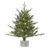 2ft. Pre-Lit Artificial Christmas Tree In Stump Planter, Warm White LED Lights