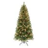 6ft. Pre-Lit Virginia Pine Artificial Christmas Tree, Clear Lights 2 6ft. Pre-Lit Virginia Pine Artificial Christmas Tree, Clear Lights -Northlight Shop D659621S 1